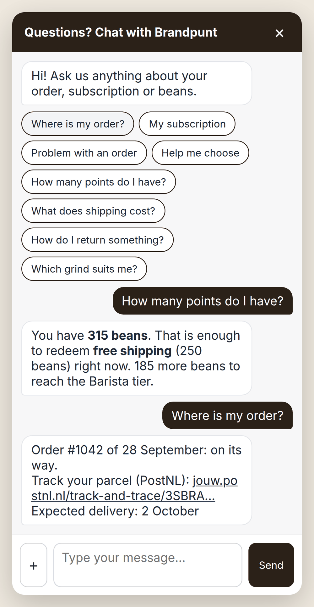 Chat window in a webshop with buttons for order tracking, subscription and frequently asked questions, and an AI answer about the points balance and order status